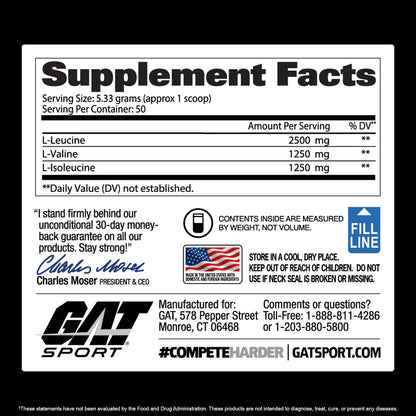 GAT SPORT BCAA POWDER